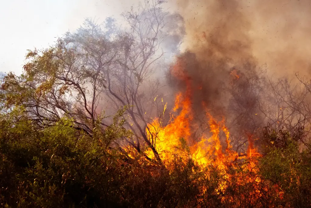 southern california fire